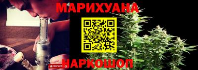 Альфа ПВП Дубна
