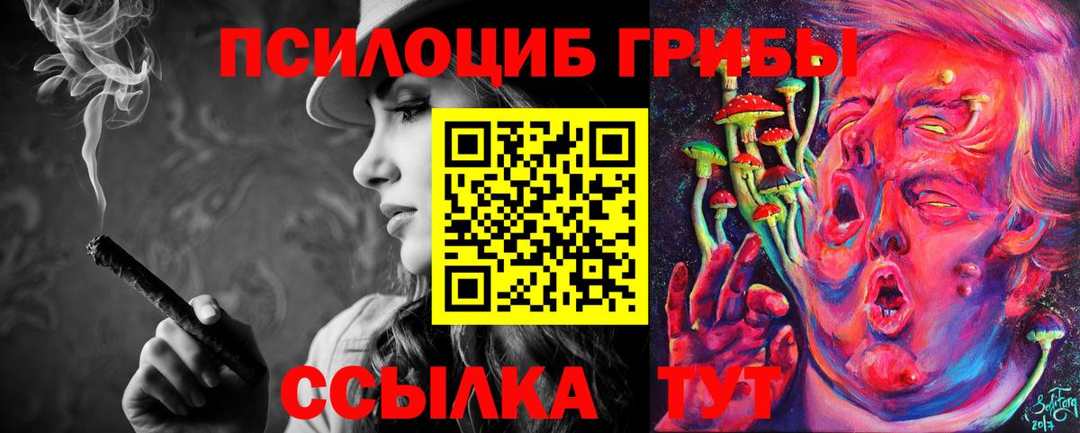Псилоцибиновые грибы Psilocybine cubensis Клин