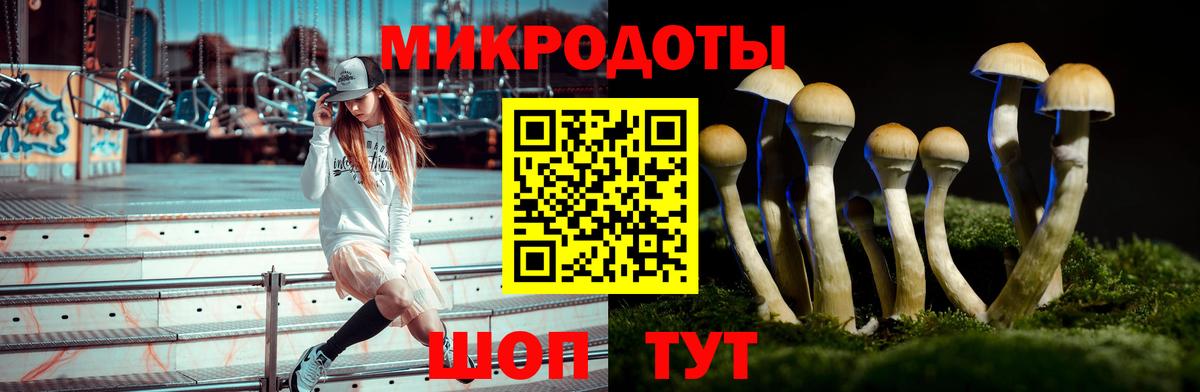 Клин  Галлюциногенные грибы GOLDEN TEACHER  Вход с VPN  Галлюциногенные грибы Magic Shrooms 